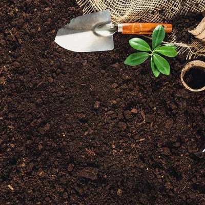 Servicio de autenticación de tercera persona del suelo de laboratorio de la prueba de la certificación global agrícola del negocio en venta