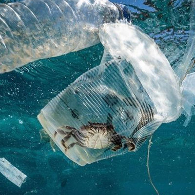 Servicio de autenticación de tercera persona de la autoridad biológica de la contaminación de la educación del laboratorio de prueba de la UL del suelo y del agua