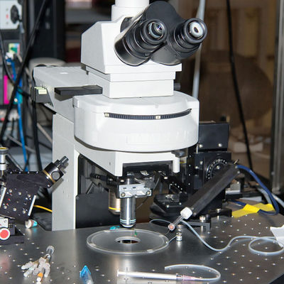 Servicio de autenticación de tercera persona del cepillo de dientes de Mark Intertek Test Laboratories Electric del Ce