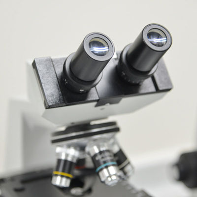 La prueba de laboratorio certificado de la ISO ISO8124 15189 mantiene el servicio de autenticación de tercera persona de Toy Test