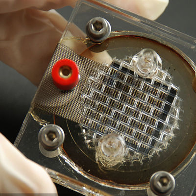 Servicio de autenticación de tercera persona de la máquina de las palomitas de la compatibilidad electromágnetica del laboratorio de la certificación del CE de la FCC de la GAMA